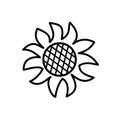 Sunflower line icon isolated on white background. Vector floral illustration. Botanical summer concept. For cutting, clipart, Royalty Free Stock Photo