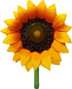 Sunflower Low poly concept on white background