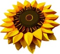 Sunflower Low poly concept on white background