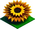 Sunflower Low poly concept on white background