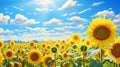 a sunflower meadow and bright blooms stand tall amidst a dance of sunbeams