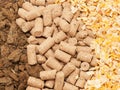 Sunflower meal, maize and bran background. Food for horses