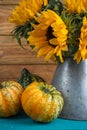 Sunflower in metal vase Royalty Free Stock Photo