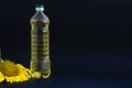 Sunflower oil bottle and flower on black background Royalty Free Stock Photo