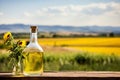 Sunflower oil bottle on wooden table. Sunflowers and blue sky. Copy space Royalty Free Stock Photo