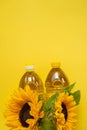 Sunflower Oil bottles and sunflowers blooming on a bright yellow background.Organic natural farm sunflower oil. Edible Royalty Free Stock Photo