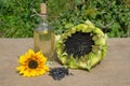 Sunflower oil in a glass Bottle and sunflowers Royalty Free Stock Photo