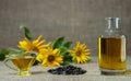 Sunflower oil in a glass gravy boat and in a bottle, and a handful of sunflower seeds on the background of burlap Royalty Free Stock Photo