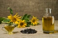 Sunflower oil in a glass gravy boat and a bottle, and a handful of sunflower seeds on the background of burlap and sunflowers Royalty Free Stock Photo
