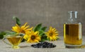 Sunflower oil in a glass gravy boat and in a bottle, and a handful of sunflower seeds Royalty Free Stock Photo