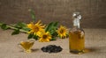 Sunflower oil in a glass gravy boat, in a bottle, and a handful of sunflower seeds