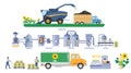 Sunflower oil production vector infographic. Seeds harvesting, transport. Vegetable oil processing plant. Food industry.
