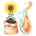 Sunflower oil set. Sunflower seeds, oil. Watercolor illustration. Isolated on a white background. Royalty Free Stock Photo