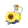 Sunflower oil watercolor illustration. Hand drawn glass bottle, flower, seeds. Sunflower organic oil in glass bottle