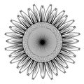 Sunflower out line vector Royalty Free Stock Photo