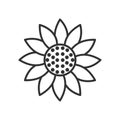 Sunflower Outline Icon on White