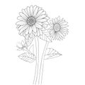 sunflower outline, line drawing outline sunflower tattoo, stencil sunflower tattoo outline, drawing stencil sunflower tattoo