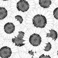 Sunflower Outline Seamless Background. Vector Illustration.