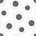 Sunflower Outline Seamless on White Background. Vector Illustration