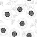 Sunflower Outline Seamless on White Background. Vector Illustration