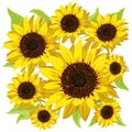 Sunflower pattern