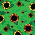 Sunflower pattern - Abstract