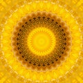Sunflower pattern background sun flower. boohoo Royalty Free Stock Photo