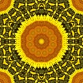 Sunflower pattern background sun flower. illustration boho Royalty Free Stock Photo