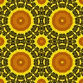 Sunflower pattern background sun flower. kaleidoscopic geometric Royalty Free Stock Photo