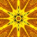 Sunflower pattern background sun flower. graphic boohoo