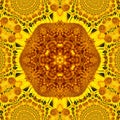Sunflower pattern background sun flower. graphic kalamkari Royalty Free Stock Photo