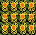 Sunflower pattern on black background Royalty Free Stock Photo