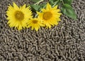 Sunflower pellets - biomass
