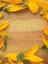 Sunflower petals frame on wooden background Royalty Free Stock Photo