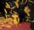 Sunflower Petals in Motion Royalty Free Stock Photo