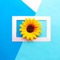 Sunflower in photo frame on geometric blue background. Royalty Free Stock Photo