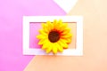 Sunflower in photo frame on geometric pastel background Royalty Free Stock Photo