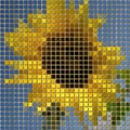 Sunflower pixelated image generated texture