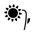 Sunflower plant glyph icon vector symbol illustration