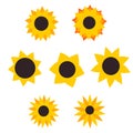 Sunflower plant icons isolated on white background. Vector flat beautiful sunflowers Royalty Free Stock Photo