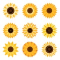 Sunflower emblem set