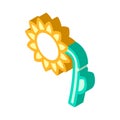 Sunflower plant isometric icon vector symbol illustration