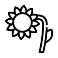 Sunflower plant line icon vector symbol illustration