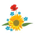 Sunflower and poppy, full color flower arrangement