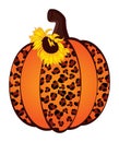 Sunflower Pumpkin Leopard. Vector Cute Leopard Pumpkin with Sunflower