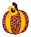 Sunflower Pumpkin Leopard. Vector Cute Leopard Pumpkin with Sunflower