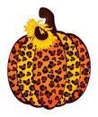 Sunflower Pumpkin Leopard. Vector Cute Leopard Pumpkin with Sunflower