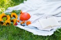 Sunflower and pumpkins. Enjoying of reading outdoor. Autumn season. Royalty Free Stock Photo