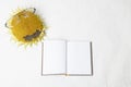 Sunflower with reading glasses and notepad. concept, learning, school, hello autumn, on a white background, there is a Royalty Free Stock Photo