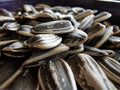 Sunflower roasted seeds in bowl close up Royalty Free Stock Photo